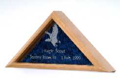 Scout Flag Case 